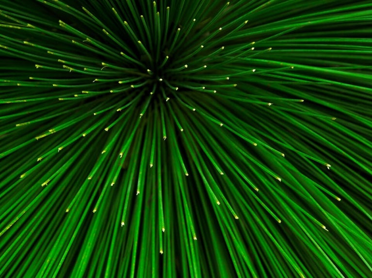 green abstract image