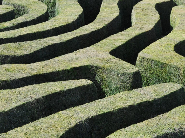 Maze made of hedges