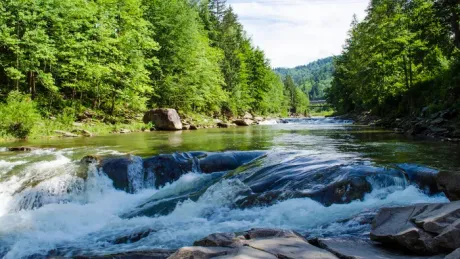 mountain river with a rapid current of rocks with a waterfall in summer